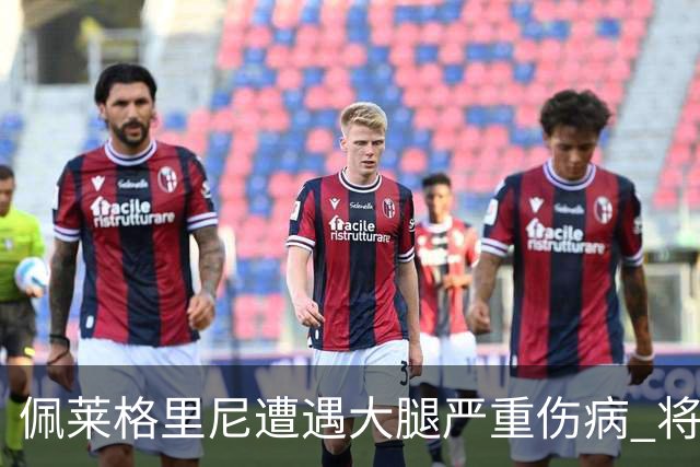 佩莱格里尼遭遇大腿严重伤病 将再次缺阵